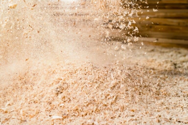5 utilisations de sciure de bois insoupçonnées pour redonner vie